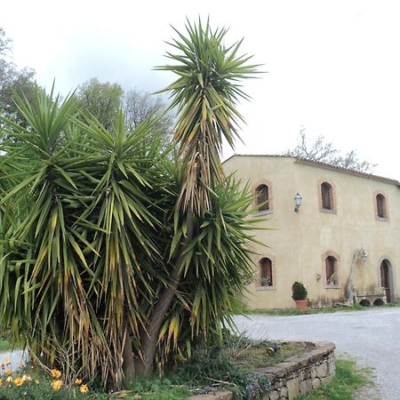 Agriturismo Il Daino Villa San Piero Patti Exterior photo